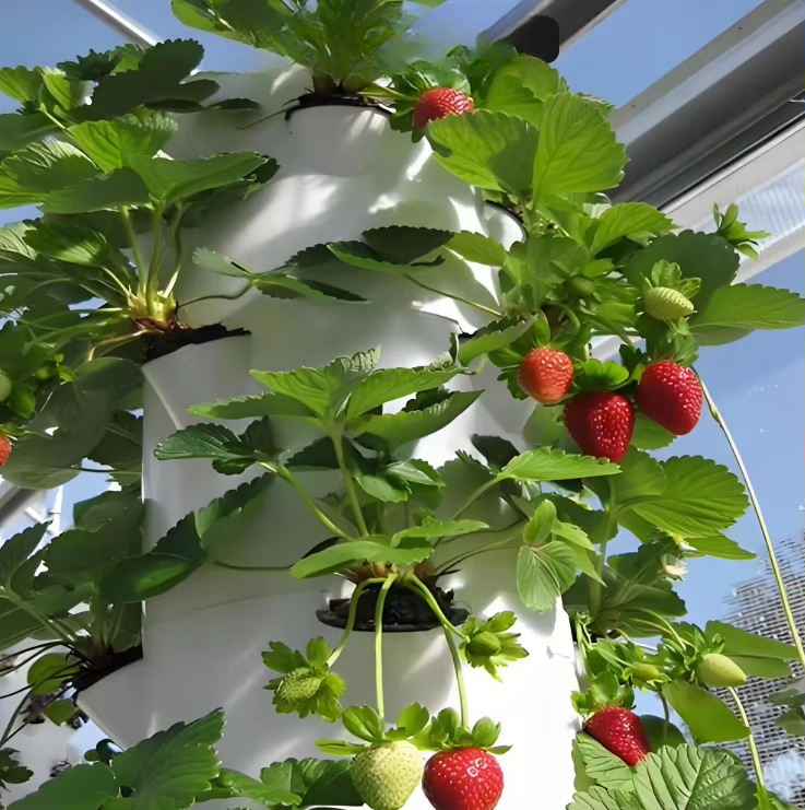 Sistema modular hidropônico de - Urban Farming Gardening avaliação e preço